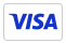 Visa payment 